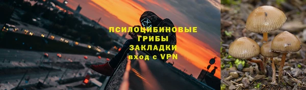 MESCALINE Гусь-Хрустальный
