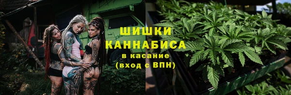 MESCALINE Гусь-Хрустальный
