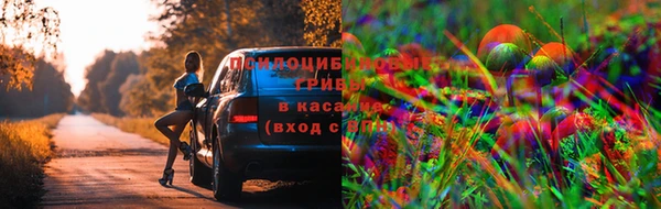COCAINE Гусиноозёрск