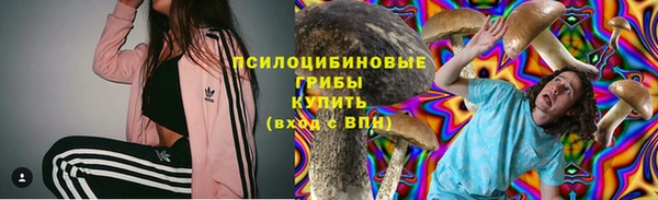 mix Гусев