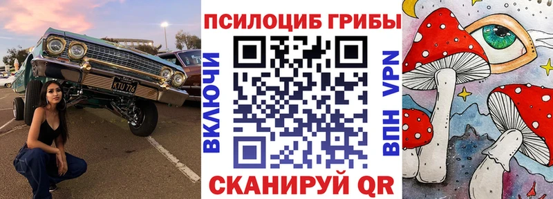 Псилоцибиновые грибы Psilocybe  Мытищи 